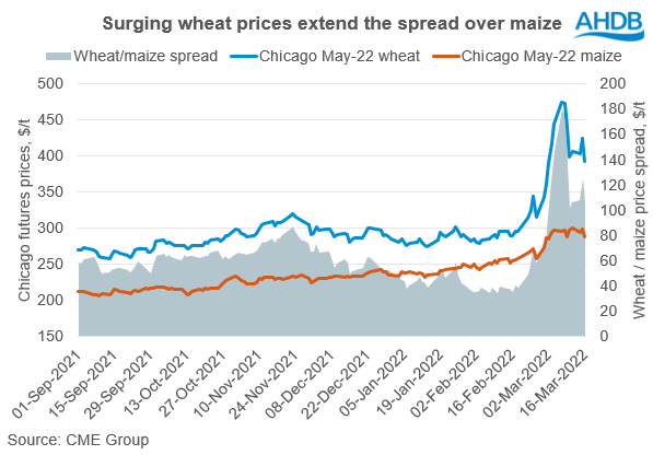 wheat maize price spread